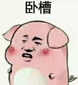 抖音傲嬌生氣變豬表情包大全分享