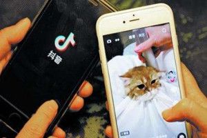 抖音里的音樂(lè)怎么下載到手機(jī)上？抖音上的歌曲怎么下載到手機(jī)上