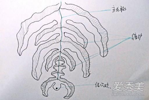 抖音找車口訣是什么 尋龍摸金萬纏山下一句