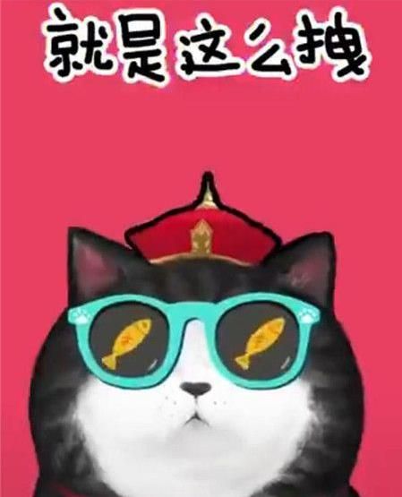 抖音我們喵星人是什么歌？抖音我們喵星人就是辣么拽歌詞分享
