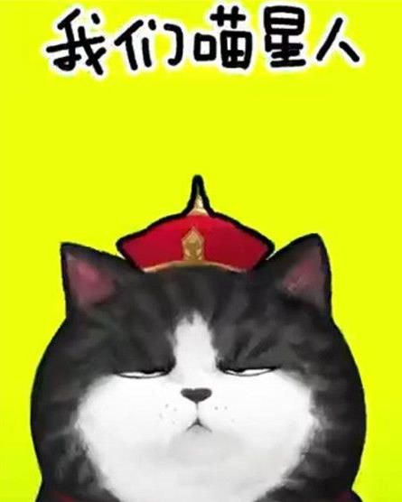 抖音我們喵星人是什么歌？抖音我們喵星人就是辣么拽歌詞分享