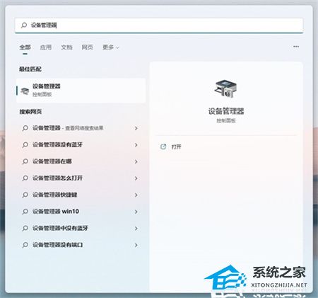 Win11不兼容的驅(qū)動(dòng)程序怎么刪除？完美刪除Win11不兼容驅(qū)動(dòng)程序方法
