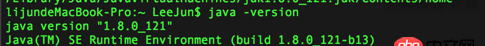 macos - idea用maven編譯成功，但總有提Class JavaLaunchHelper is implemented in both