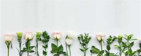 天熱怎么發(fā)朋友圈 關(guān)于天氣炎熱的文案