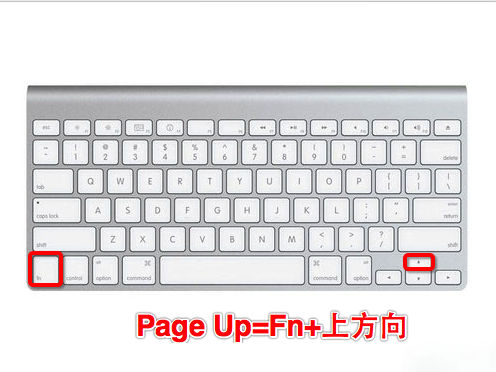 MacOS的Fn鍵有什么用?MacOS中Fn鍵的使用方法