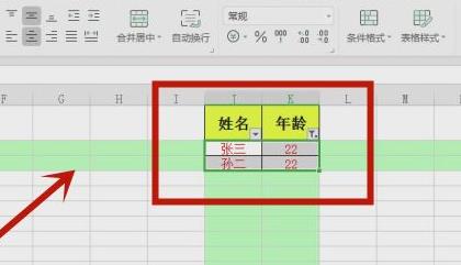 excel篩選出自己想要的數據方法