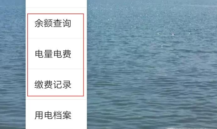 每日每月電費明細(xì)怎查詢,微信怎么查每天用電量