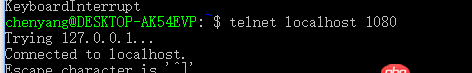 node.js - bash啟動Node服務localhost無法訪問