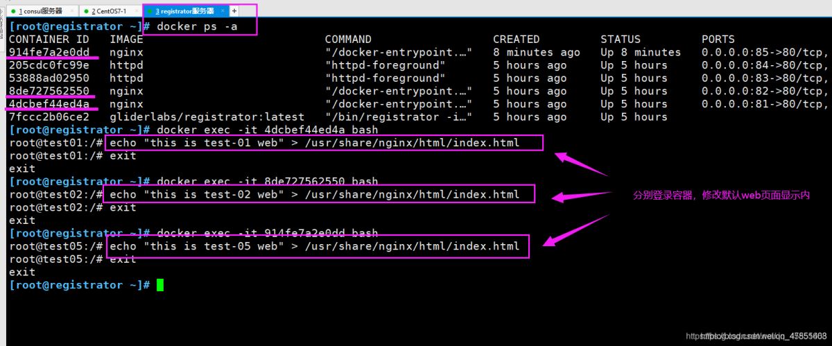 Docker consul的容器服務更新與發現的問題小結