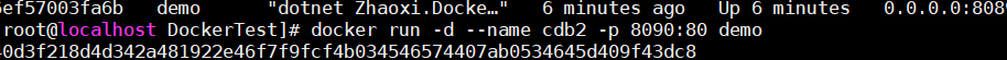 Docker 部署net5程序實現跨平臺功能