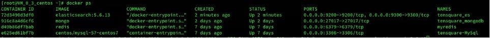 docker 啟動elasticsearch鏡像,掛載目錄后報錯的解決