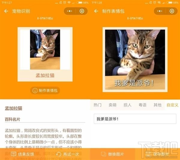 吸貓微信小程序推薦，人貓交流器讓你家寵物更軟萌可愛