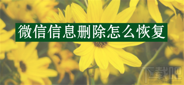 蘋果手機微信信息刪除怎么恢復?
