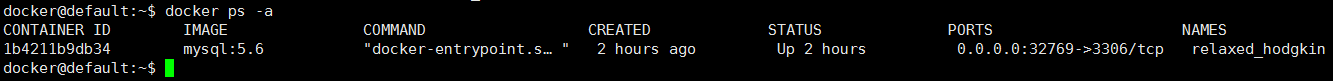 docker中使用mysql數(shù)據(jù)庫實現(xiàn)局域網訪問