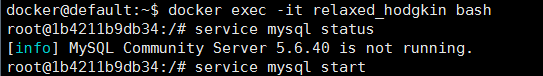 docker中使用mysql數(shù)據(jù)庫實現(xiàn)局域網訪問