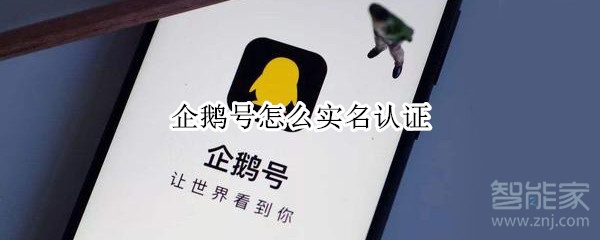 企鵝號(hào)怎么實(shí)名認(rèn)證