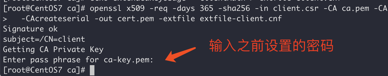 Docker開啟遠(yuǎn)程安全訪問的圖文教程詳解