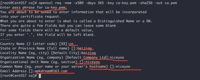 Docker開啟遠(yuǎn)程安全訪問的圖文教程詳解