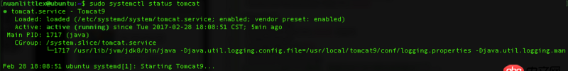 service - Ubuntu16 Tomcat9 設置開機自動重啟時為什么起不來？
