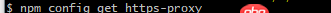 node.js - npm一直提示proxy有問題