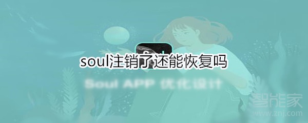 soul注銷(xiāo)了還能恢復(fù)嗎