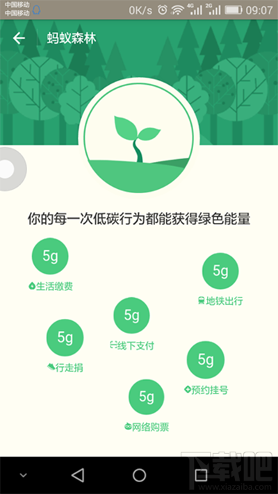 支付寶螞蟻森林是什么?支付寶螞蟻森林詳細(xì)介紹