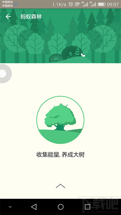 支付寶螞蟻森林是什么?支付寶螞蟻森林詳細(xì)介紹