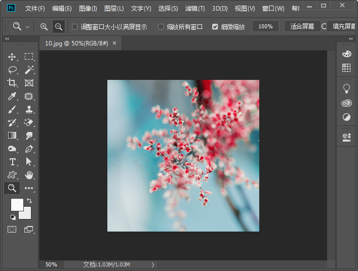 ps應(yīng)用畫布大小命令裁剪照片