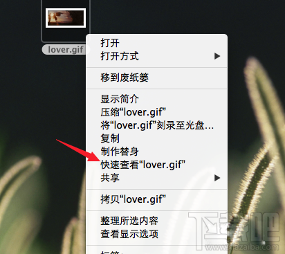 Mac怎么查看gif圖片?Mac系統怎么查看gif圖片?