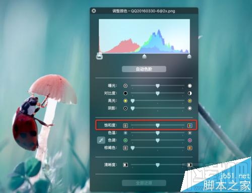 mac系統(tǒng)中怎么用自帶的預(yù)覽工具將圖片變成黑白色？