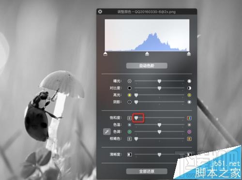 mac系統(tǒng)中怎么用自帶的預(yù)覽工具將圖片變成黑白色？