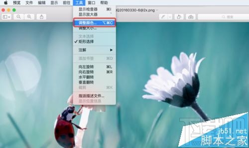 mac系統(tǒng)中怎么用自帶的預(yù)覽工具將圖片變成黑白色？