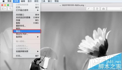 mac系統(tǒng)中怎么用自帶的預(yù)覽工具將圖片變成黑白色？