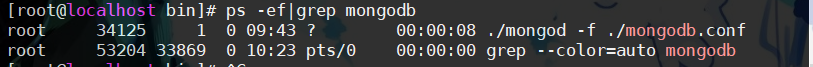 Linux安裝MongoDB啟動及常見問題解決