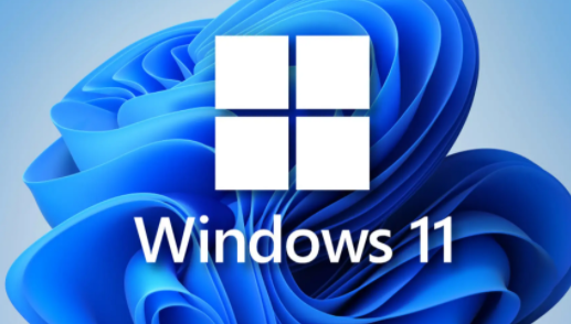 win11專業(yè)版永久激活密鑰