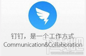 釘釘多人視頻會議好用嗎？