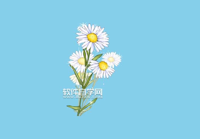 AI怎么畫甘菊