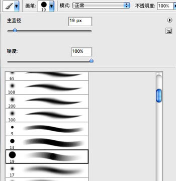 PS手繪漂亮的羽毛