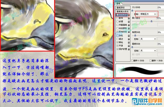 PS繪制山鷹