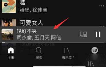spotify看歌詞詳細(xì)方法