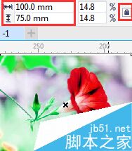 CorelDRAW中如何更改位圖尺寸和分辨率