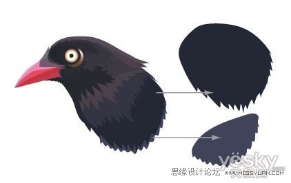 IllustratorCS6用色階畫(huà)法精細(xì)設(shè)計(jì)鳥(niǎo)類插畫(huà)