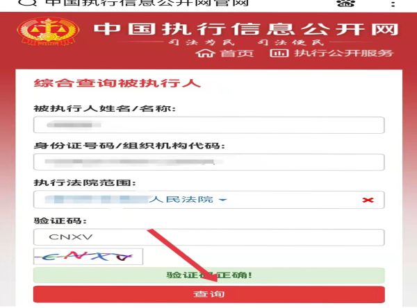 中國執行信息網怎么查