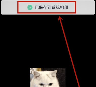 動(dòng)感相冊(cè)怎么保存到手機(jī)相冊(cè)里面