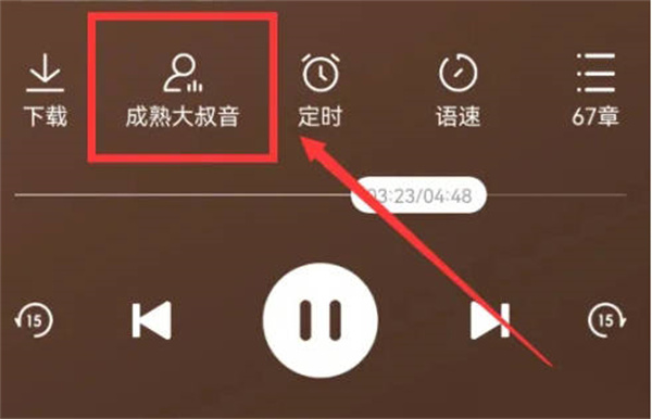 番茄暢聽(tīng)怎么改變聲音