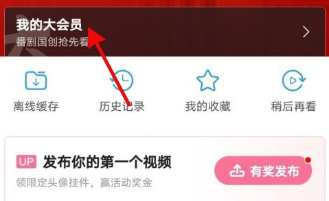 嗶哩嗶哩大會(huì)員退款步驟